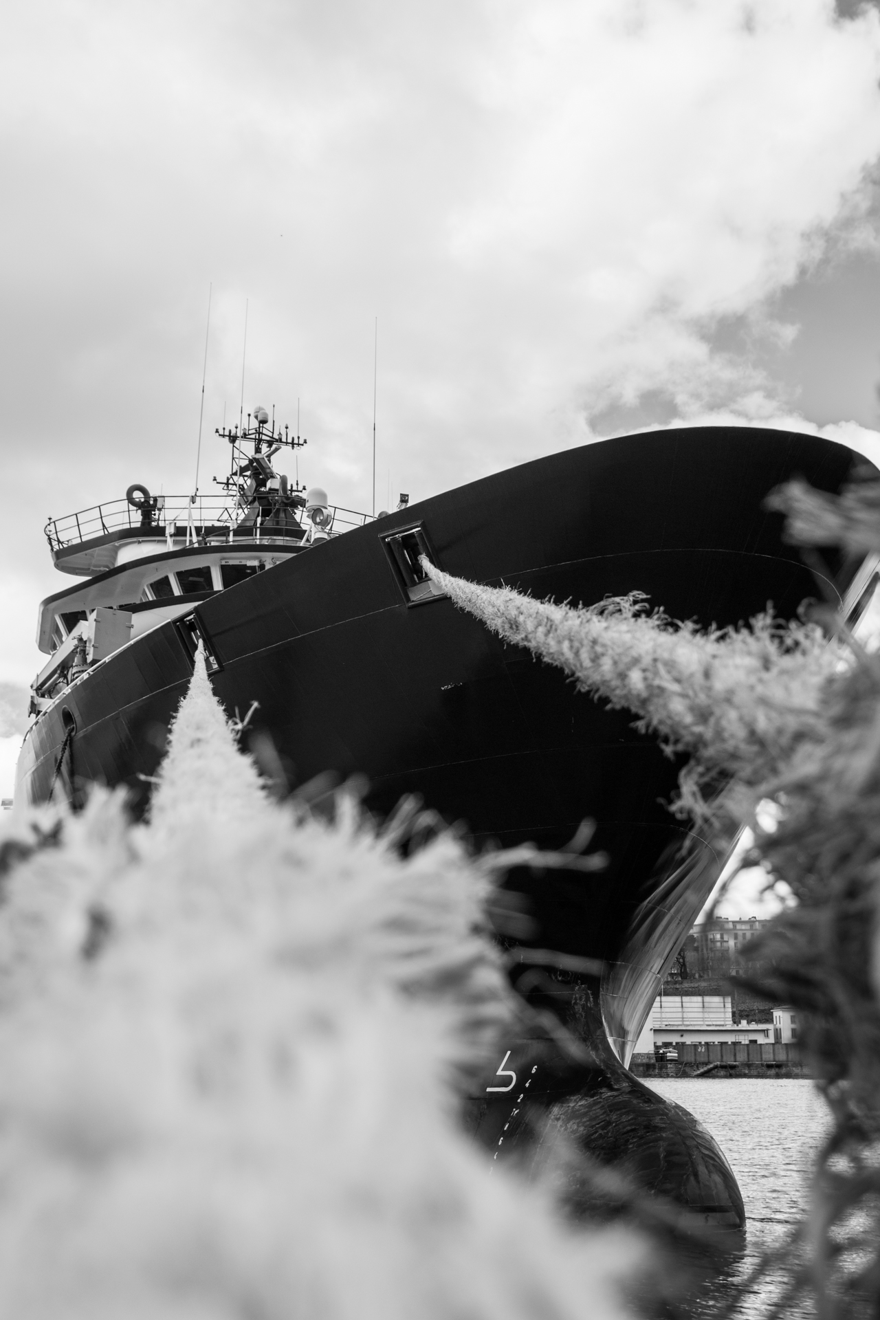 L' Oeil Noir Photographie